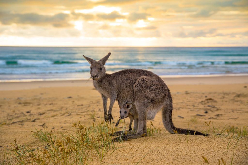 Exploring The NSW South Coast – the start of our lap of Oz